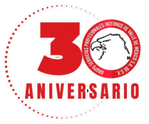 Bienvenidos Grupo ValleMex